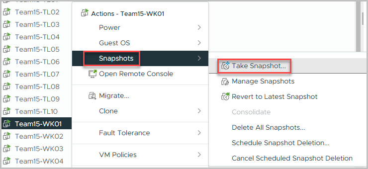 Snapshot VM